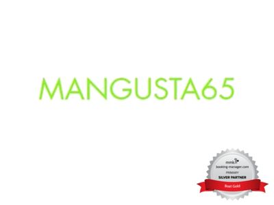 New Silver Partner: Boat Gold